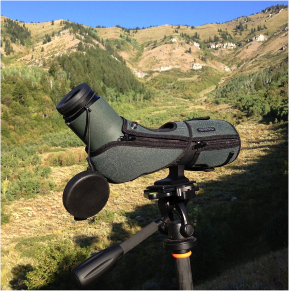 Swarovski ats 65 discount hd 25-50 review