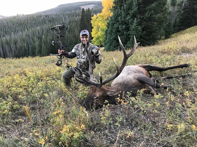 IMG 8755 Colorado Elk 2018