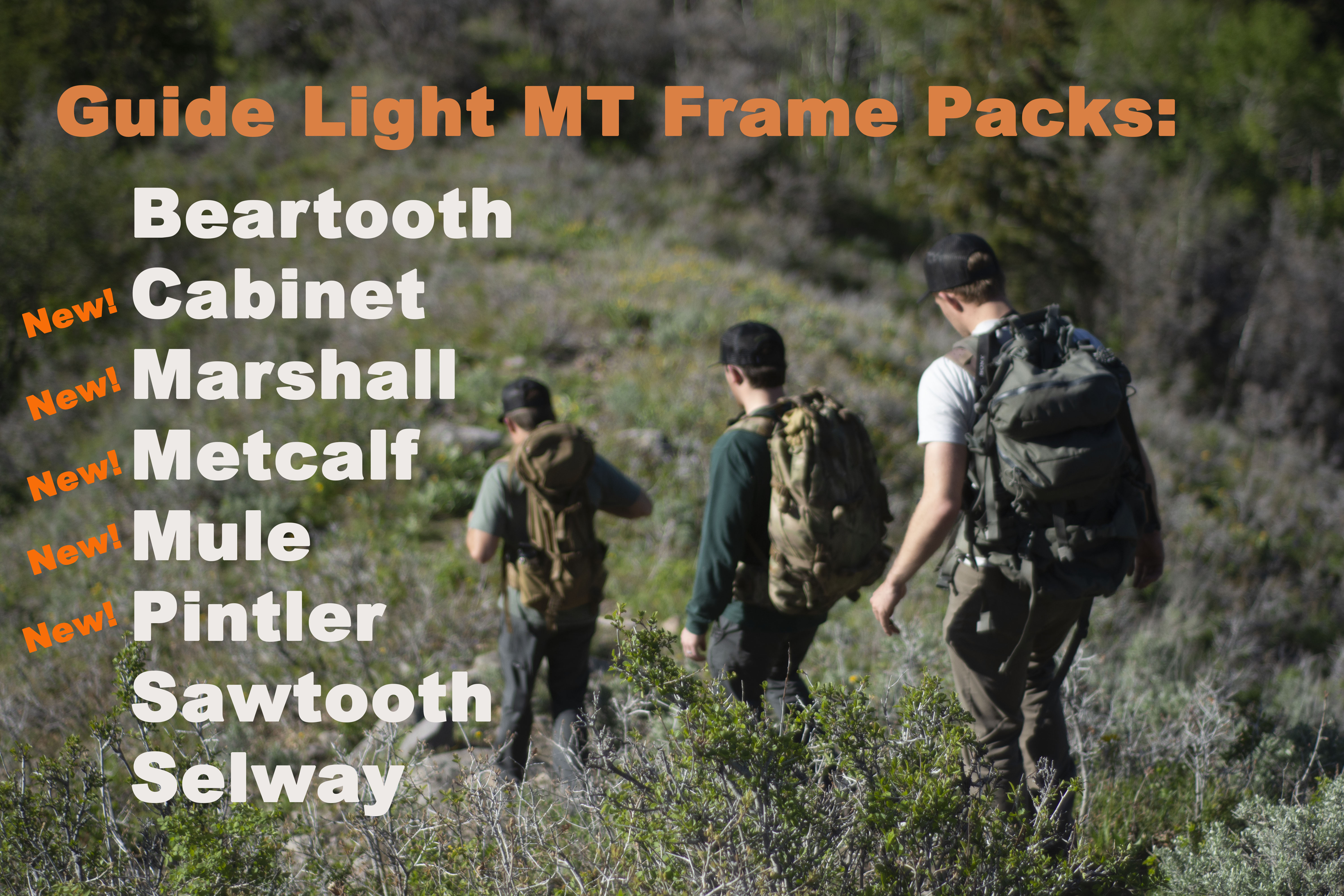 New Mystery Ranch Guide Light MT Frame