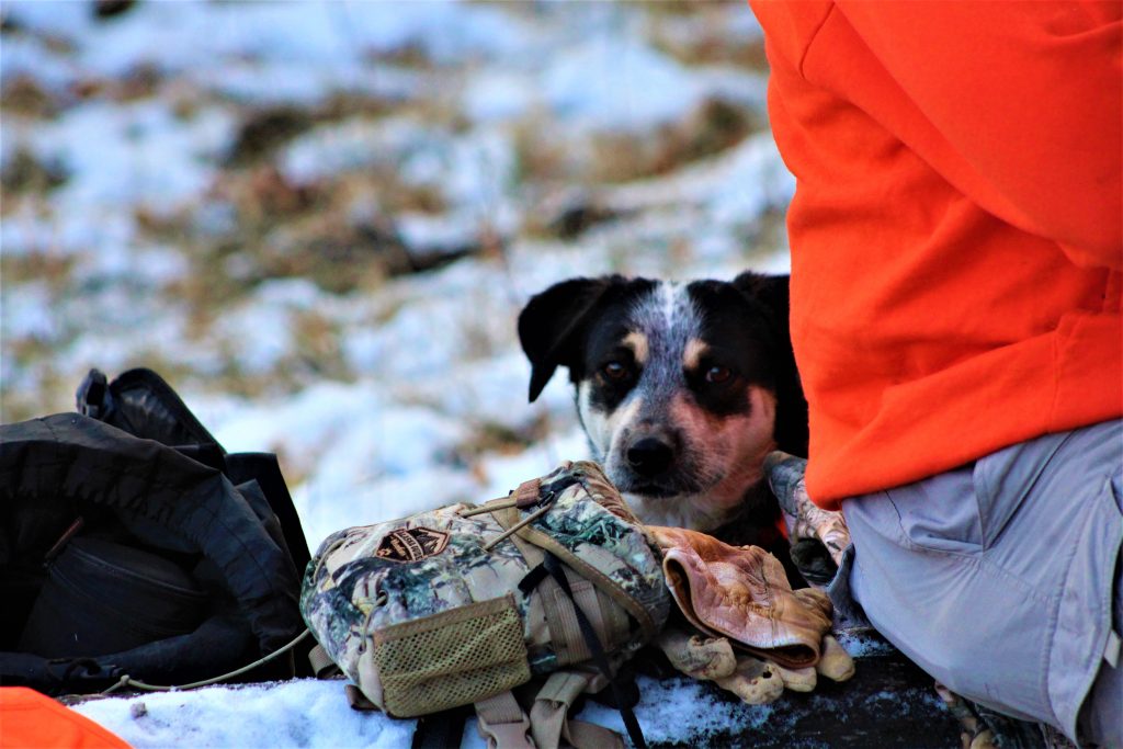 Alaska Guide Creations Holster - Tactical, Versatile, For Real.