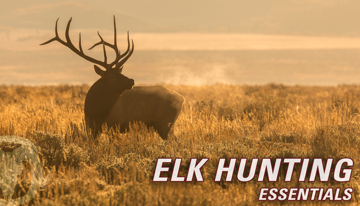 Elk Hunting Essential Gear - Black Ovis