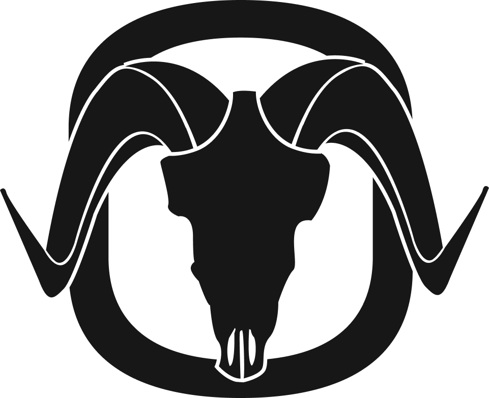 BLACKOVIS LOGO