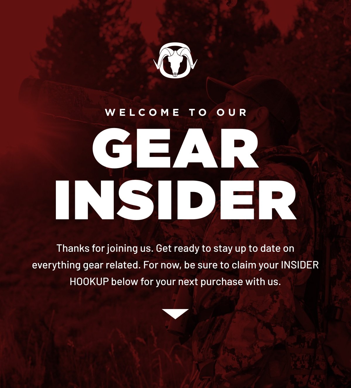 WELCOME TO OUR GEAR INSIDER