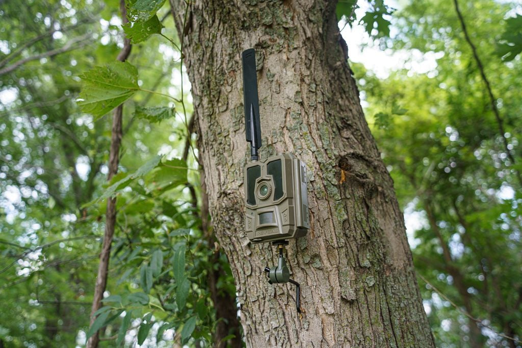 trail camera for hunting