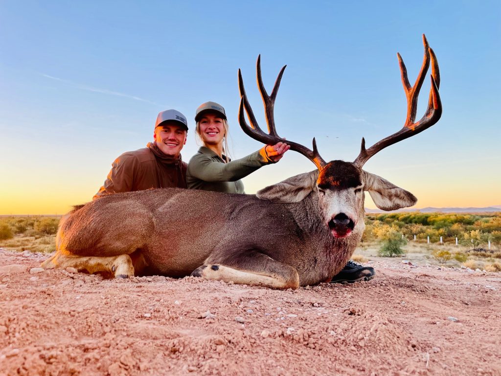 mule deer hunt blackovis