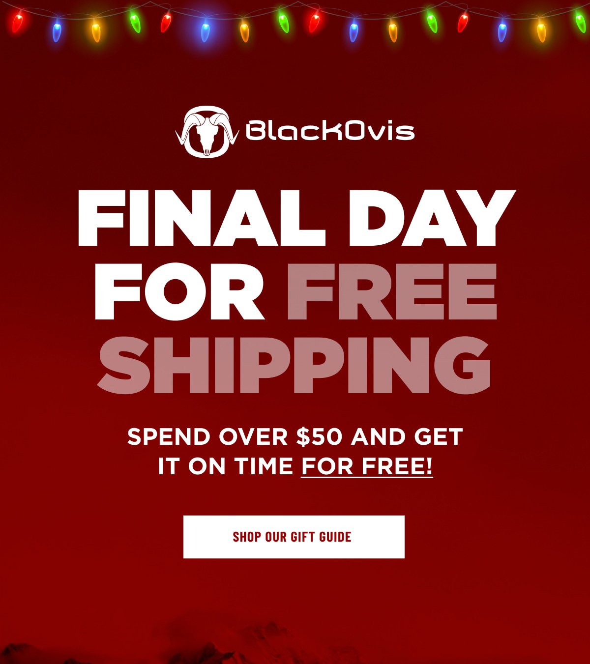 FINAL DAY FOR FREE SHIPPING