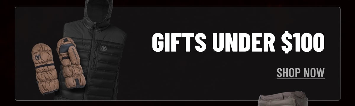 GIFTS UNDER $100