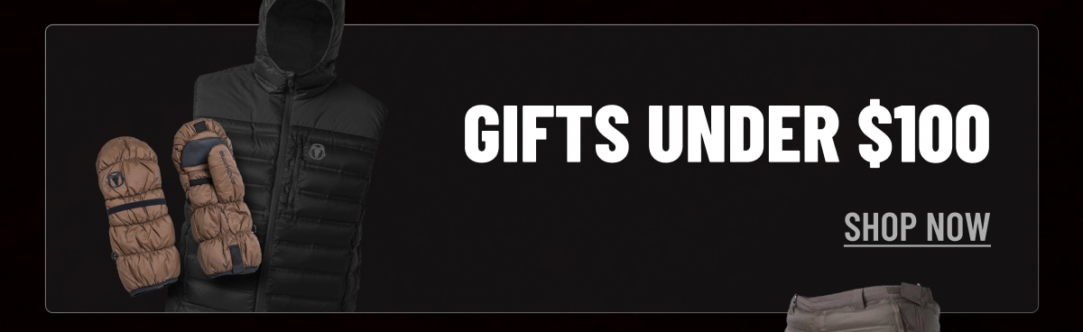 GIFTS UNDER $100