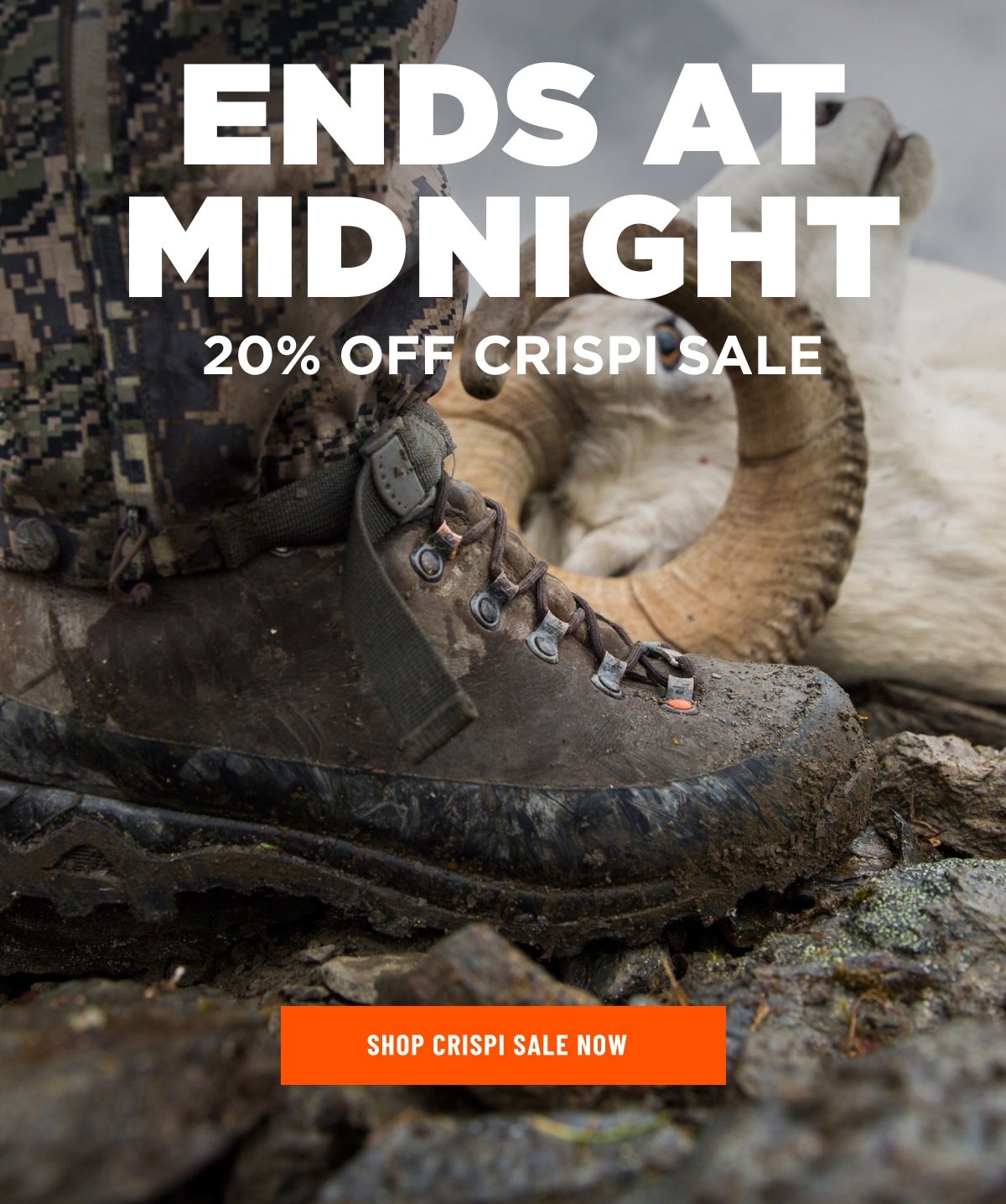 20% OFF ALL CRISPI