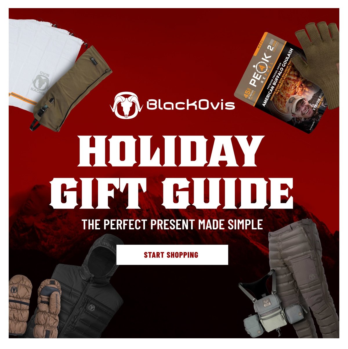 HOLIDAY GIFT GUIDE